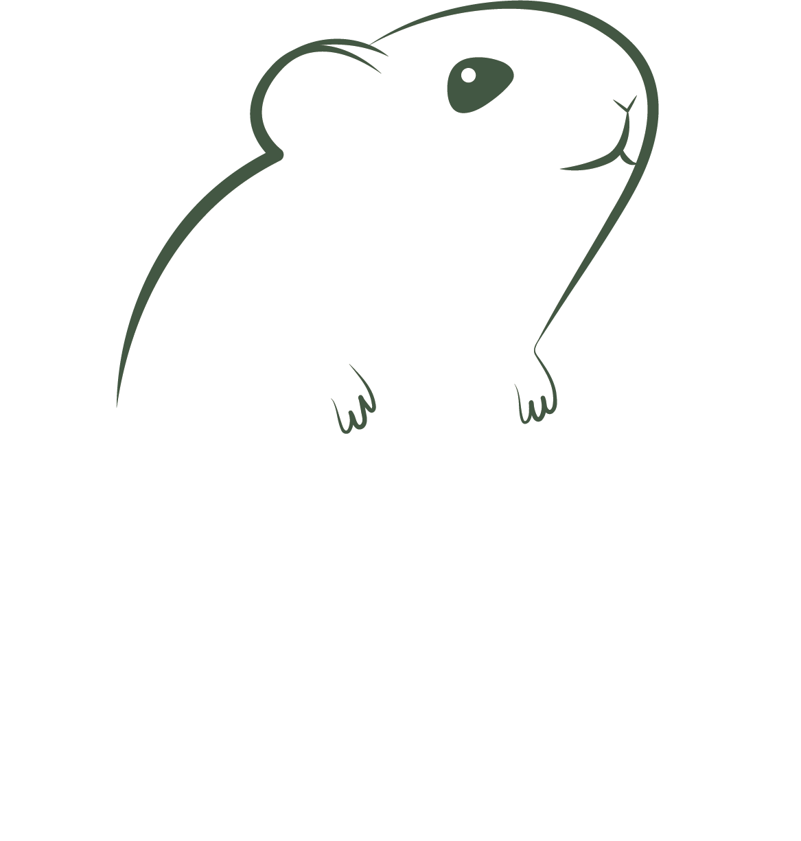 El Lirón